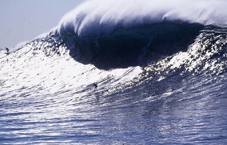 wave tsunami